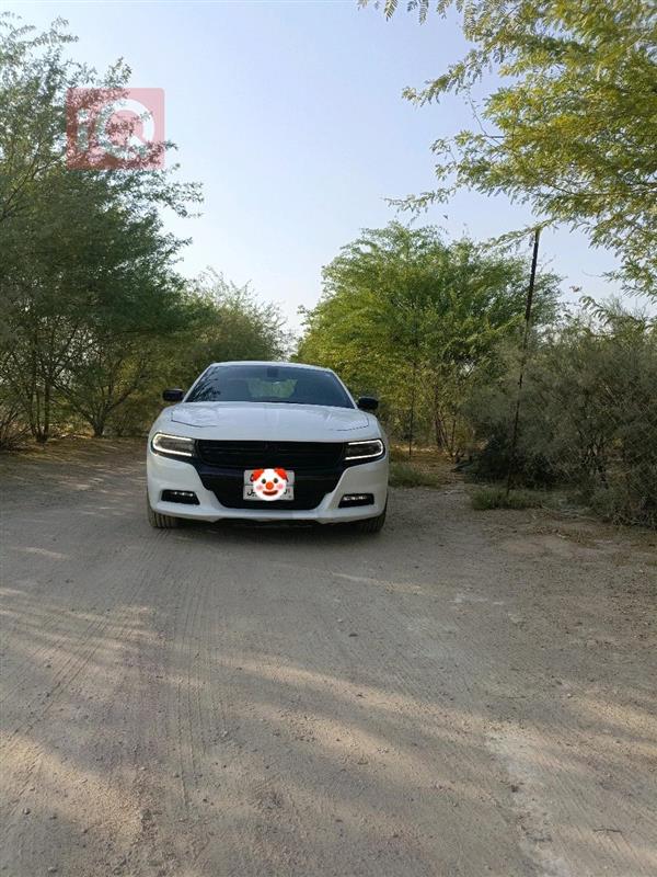 دۆج چارجەر 2018  بۆ فرۆشتن لە عێراق - زوبەیر